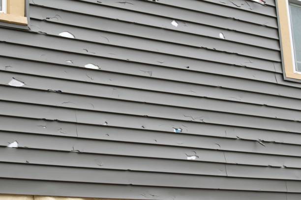 Best Steel Siding Installation  in Spring Valley, CA