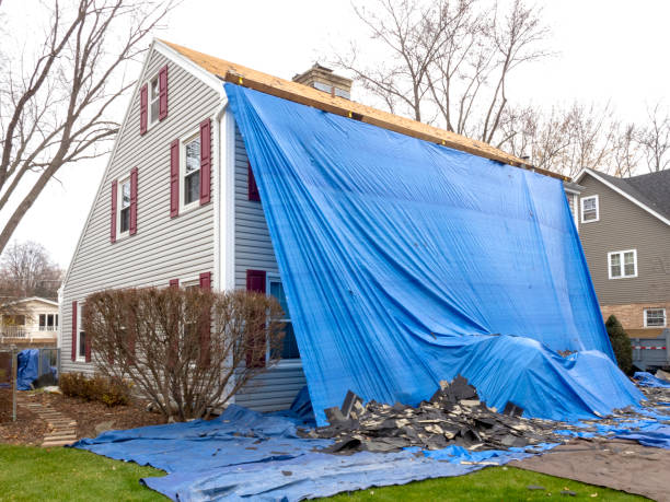Best Weatherproofing and Sealing  in Spring Valley, CA