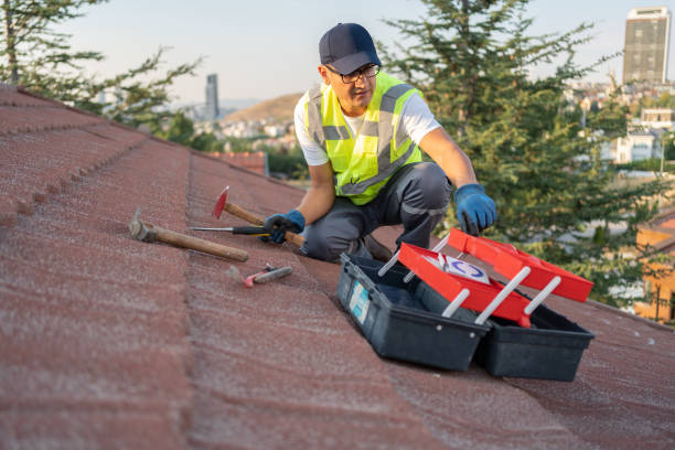 Best Custom Trim and Detailing for Siding  in Spring Valley, CA